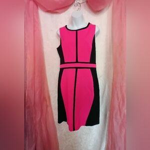 🌺BUNDLE ONLY🌺 New York & Company Vibrant Pink and Black Mini Dress